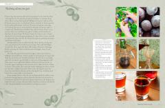 The Kew Gardener's Guide to Growing Fruit