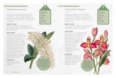 The Kew Gardener's Guide to Growing Orchids