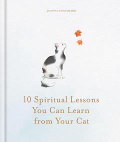 10 Spiritual Lessons You Can Learn from Your Cat