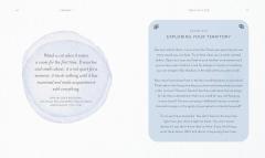 10 Spiritual Lessons You Can Learn from Your Cat