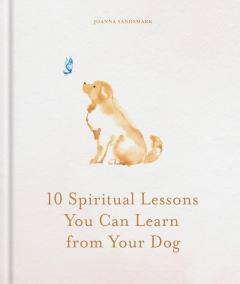 10 Spiritual Lessons You Can Learn from Your Dog