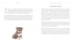 10 Spiritual Lessons You Can Learn from Your Dog