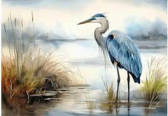 Puzzle 1000 piese - Premium Plus - Starc Albastru in Salbaticie