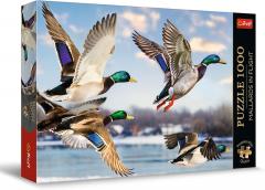 Puzzle 1000 piese - Mallards in Flight