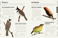 Encyclopedia of Birds