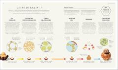 The Science of Baking