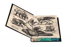 The Library of Amorlin