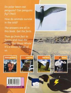 Thunderbolts Complete Pack