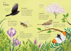 Lots of Things to Spot throughout the year