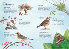 Lots of Things to Spot throughout the year