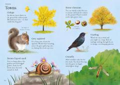 Lots of Things to Spot throughout the year