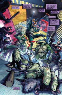 Teenage Mutant Ninja Turtles - Volume 2