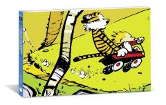 The Calvin and Hobbes Portable Compendium - Set 6
