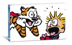 The Calvin and Hobbes Portable Compendium - Set 6
