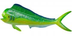 Figurina - Mahi-Mahi (Peste-Delfin)