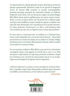 Dragul meu brontozaur