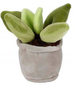 Jucarie de plus - Planta suculenta in ghiveci