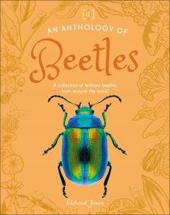 An Anthology of Beetles