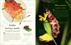 An Anthology of Beetles