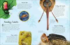 An Anthology of Beetles
