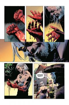 The Witcher Omnibus - Volume 3