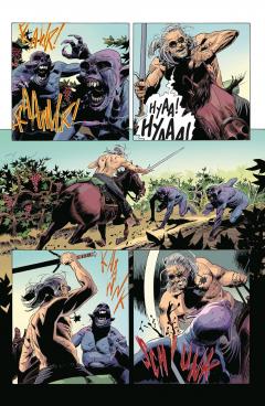 The Witcher Omnibus - Volume 3