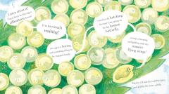 Where Are My Massive Flying Wings?