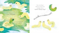 Where Are My Massive Flying Wings?