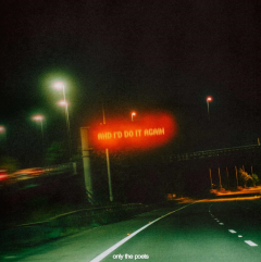 And I'd Do It Again (Orange with Green Splatter Vinyl) (2026)