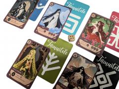 Joc de societate - Cele tainuite