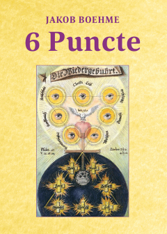 6 Puncte