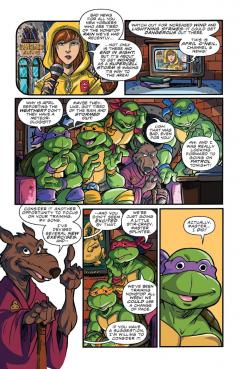 Teenage Mutant Ninja Turtles: Saturday Morning Adventures - Volume 1