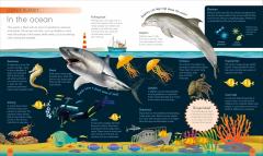 My First Encyclopedia