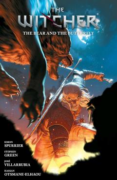 The Witcher - Volume 10