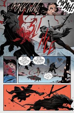 The Witcher - Volume 10