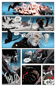 The Witcher - Volume 10