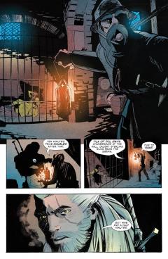 The Witcher - Volume 10