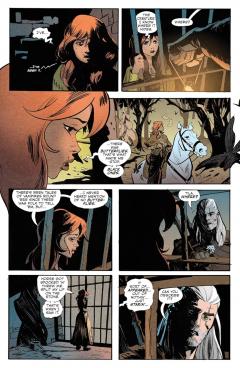 The Witcher - Volume 10
