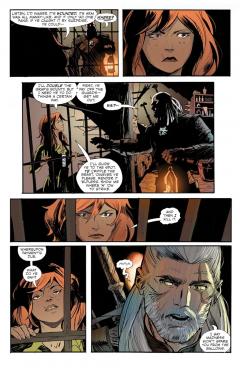 The Witcher - Volume 10