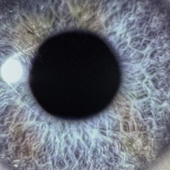 Moontower (Deluxe Edition)