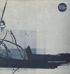 Second Toughest In The Infants - Vinyl