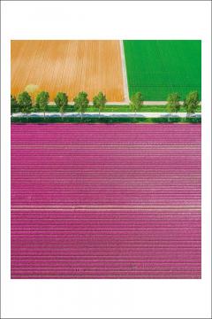 Carte postala - Alex Galmeanu 19