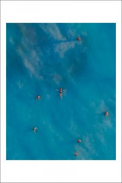 Carte postala - Alex Galmeanu 21