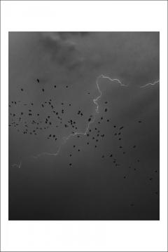 Carte postala - Alex Galmeanu 24