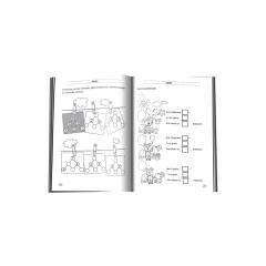 Numere si gandire matematica