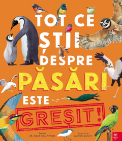 Tot ce stii despre pasari este GRESIT!