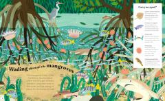 Ocean Explorer - A Search-and-Find Book