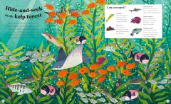 Ocean Explorer - A Search-and-Find Book