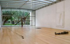 Antony Gormley: Survey