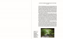 Antony Gormley: Survey